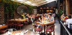 Cafe Baba Reeba: a Culinary Gem in the Heart of the City