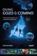Discover Delfina: the Essential Guide to Underwater Exploration