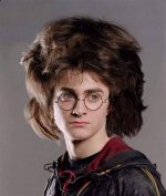 How Old Was Harry in Goblet of Fire? Celebrity. Fm #1 Official Stars, Business & People Netwo |