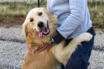Imskirby Dog Video: Your Ultimate Guide to Viral Dog Content