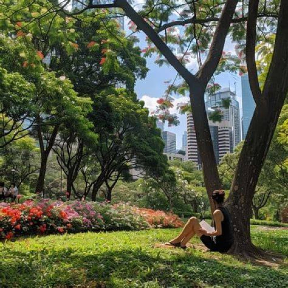 Lori Park: a Serene Escape Amidst Nature's Beauty