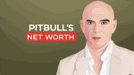 Pitbull Net Worth 2023: What Is the Megastar Worth?