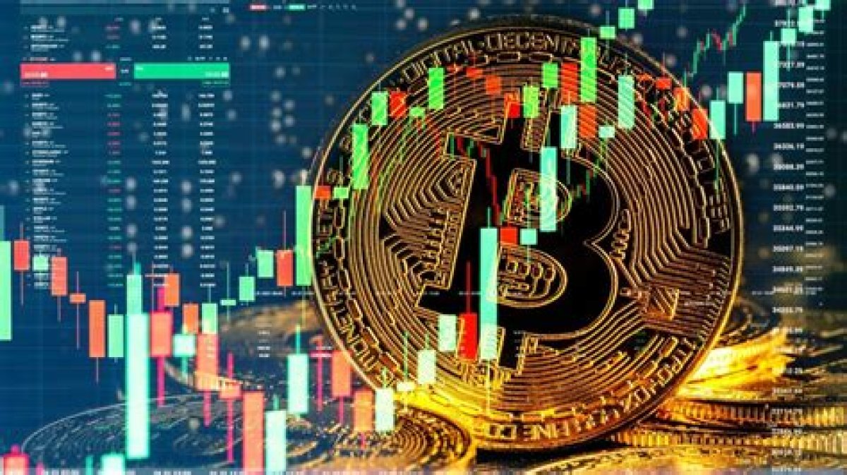 The Bitcoin Standard: Understanding the Future of Money