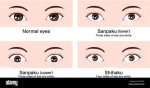 Understanding Sanpaku Eyes: Their Significance and Cultural Impact