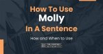 Understanding the Molly Noblitt Jail Sentence: a Deep Dive