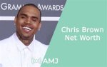 Unveiling Chris Brown's Net Worth: the Rise of a Music Icon