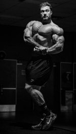 What Happened to Cbum? Is Cbum Retiring? Does Chris Bumstead Take Steroids? Who Is Chris Bumstead Wi