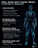 What Happens to the Human Body When a Submarine Implodes?